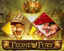 Feline Fury